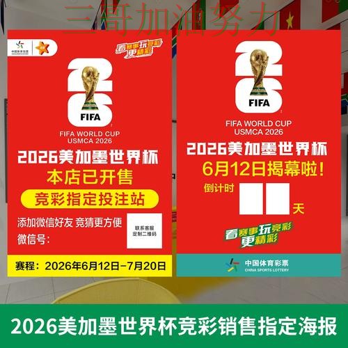 世界杯投注网站大全哪个好？实测对比带你了解（World Cup 2026）